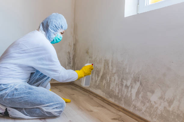 Crawl Space Mold Remediation treatment of floor joists in Oxon Hill